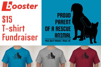 Fundraisers