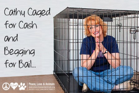 Cathy Caged for Cash
