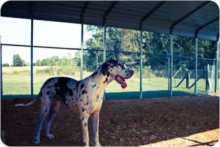 Deacon’s story featured on