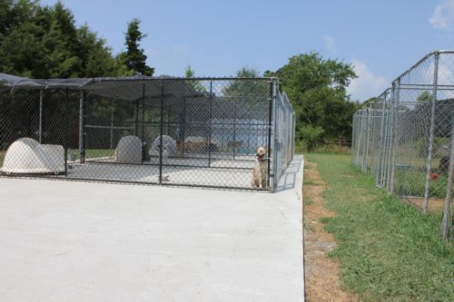 kennels1