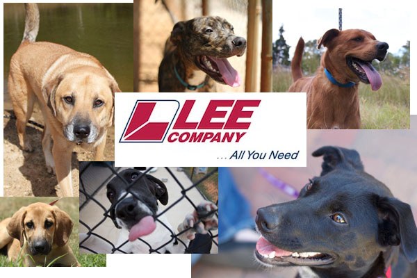 Thank you Lee Company!